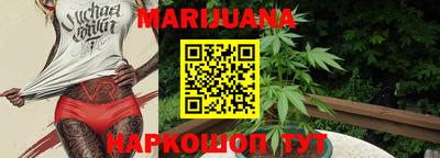 мдпв Партизанск