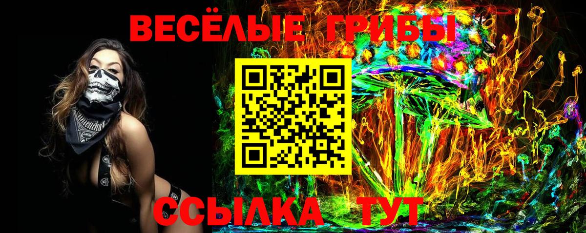 Рославль  Псилоцибиновые грибы мухоморы  Галлюциногенные грибы GOLDEN TEACHER  Вход с VPN 