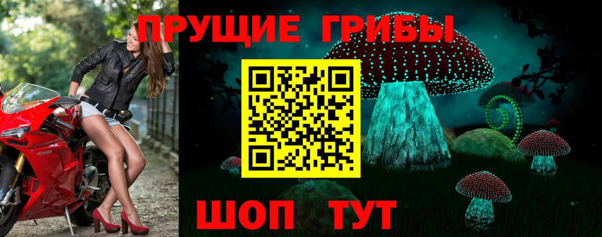 Галлюциногенные грибы Cubensis Рославль
